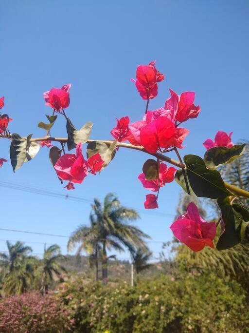 Chale Aconchegante Em Estancia Climatica Santo Antônio do Leite Eksteriør billede
